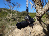 Sony Alpha 7 III